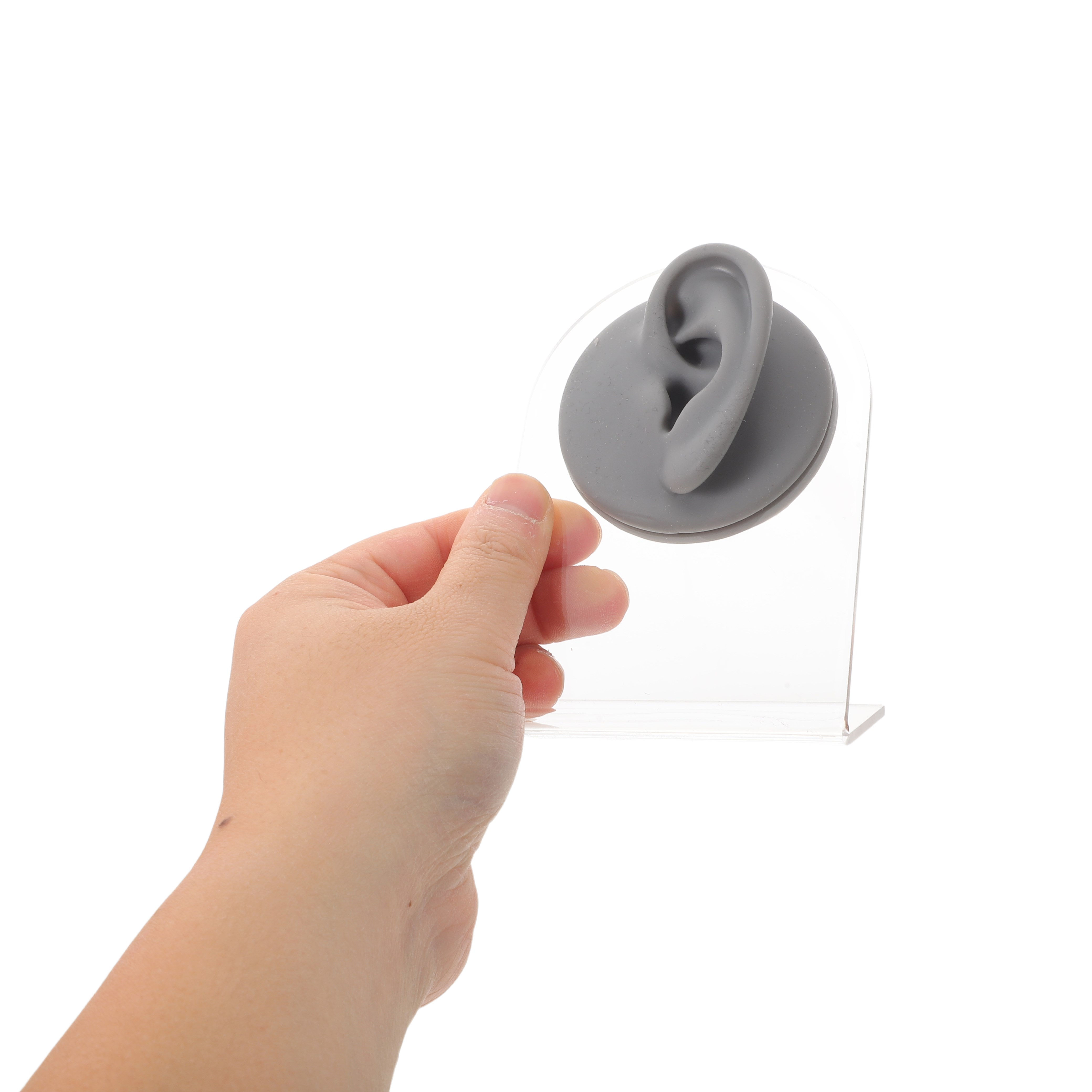 Artificial Ear Display for Ear - Body Jewelry Storage review and price
